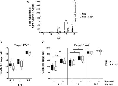 Influence of Irradiated Peripheral Blood Mononuclear Cells on Both Ex Vivo Proliferation of Human Natural Killer Cells and Change in Cellular Property